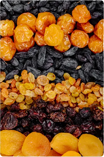 Sultan Agro Impeks