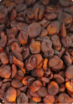 Sultan Agro Impeks