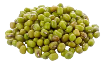 Sultan Agro Impeks