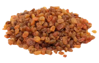 Sultan Agro Impeks