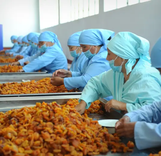 Sultan Agro Impeks