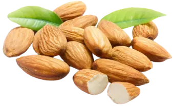 Sultan Agro Impeks