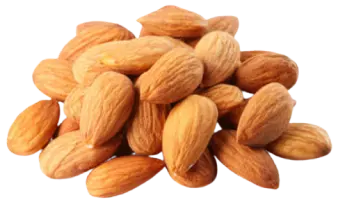 Sultan Agro Impeks